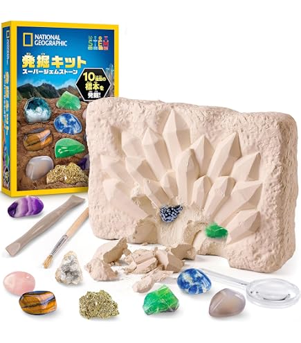 Amazon | 化石発掘体験キット（バラエティーセット）4個以上の化石入り
